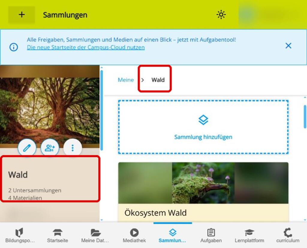Bild einer Übersichtsseite von Sammlungen mit Pfadanzeige „Meine > Wald“ und hervorgehobener Ordnerkarte „Wald“.